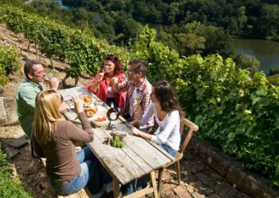 Picknick iim Weinberg, Fränkisches Weinland