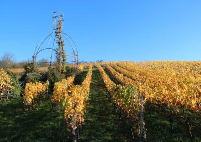 In den Weinbergen von Stammheim am Main hat ein kreativer Winzer aus Eisen den größten Bocksbeutel der Welt gebaut