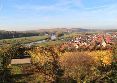 Wein­reise am Main von Würz­burg nach Volkach