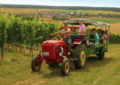 Plan­wa­gen­fahrt durch Wein­berge in Franken