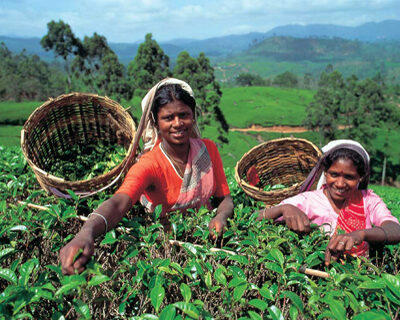 Teereise Sri Lanka