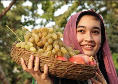 Wein in Uzbekistan