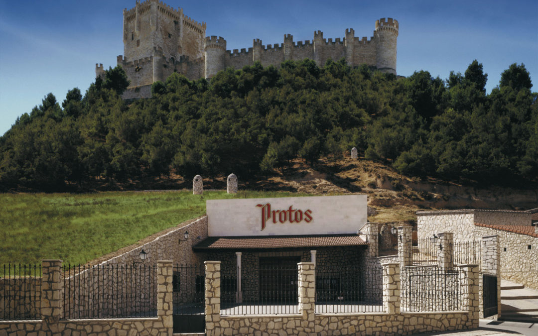 Die WeinÂreÂgion Ribera del Duero