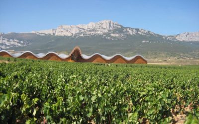 Die Wein­reise – ein Bou­quet von Urlaubsmotiven