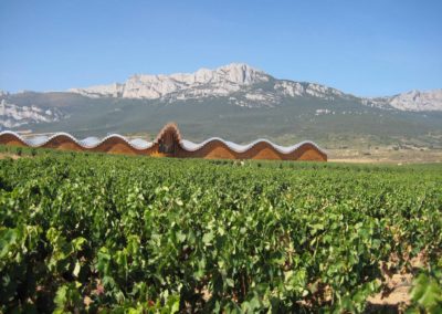 Wein­reise Spa­nien – La Rioja entdecken