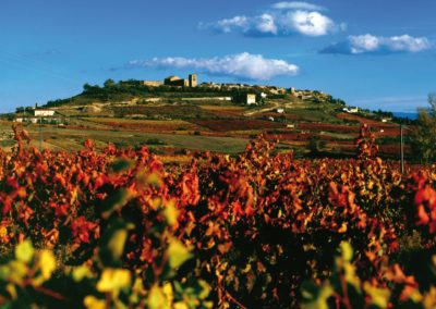 Bil­bao Navarra und Rioja