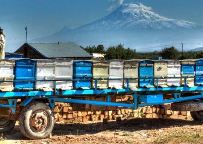 Landwirtschaft vor dem Ararat