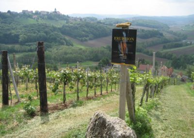 Wein­reise Stei­er­mark – ins stei­ri­sche Vulkanland