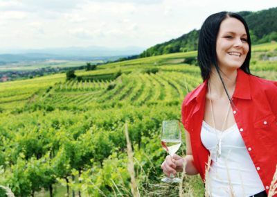 Drei Tage beim Win­zer im Traisental