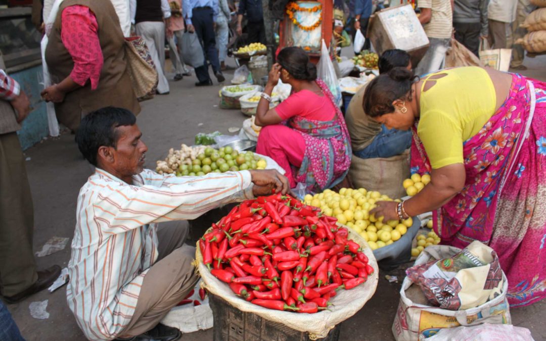 Gour­met- und Wein­reise durch Indien